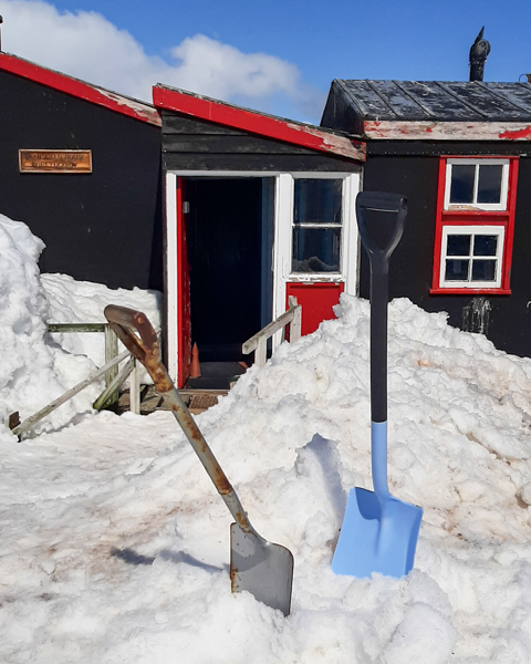 two standing shovels in the snow