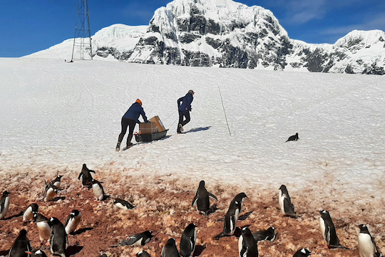 stock transfer over the ice on a sled