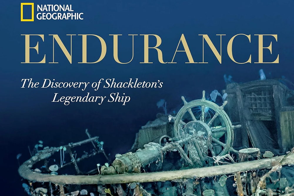 The endurance book cover