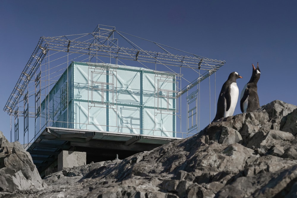 Two gentoo penguins in front of the installation