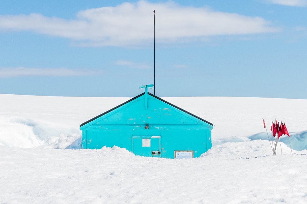 damoy while still blue and deep in snow