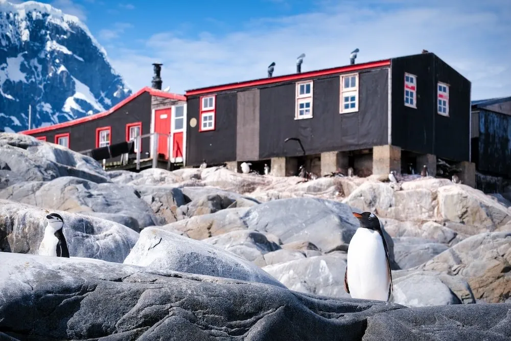 Penguins in front of Bransfield House