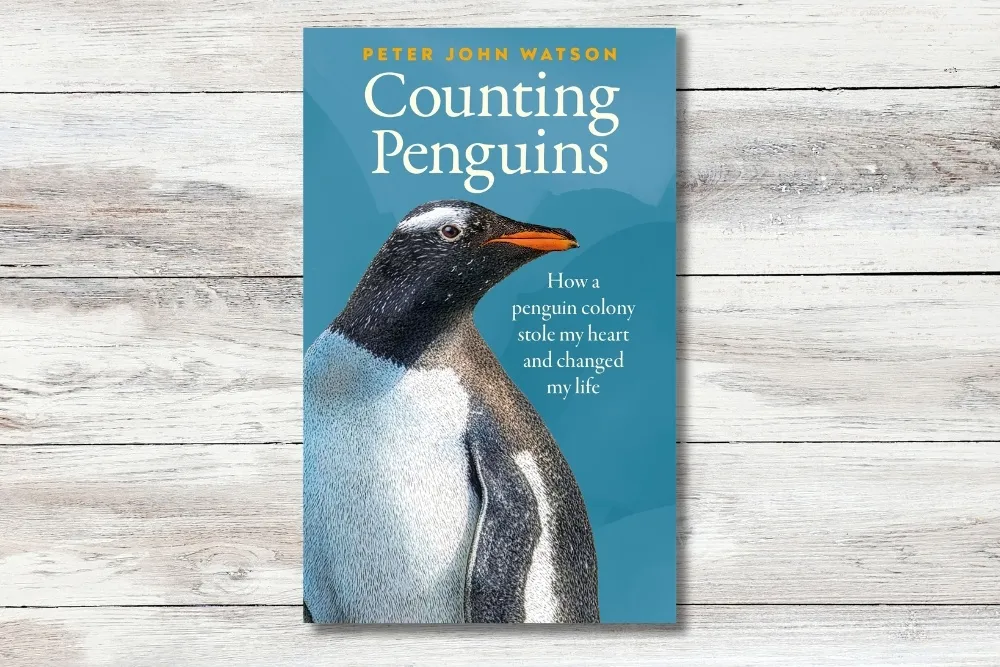 Counting penguins book on a table